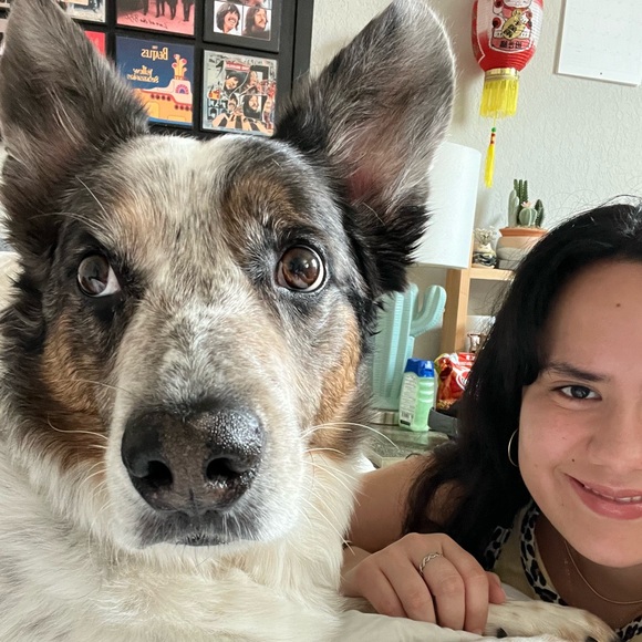 Meet your Posher, Andrea - Picture 2 of 3